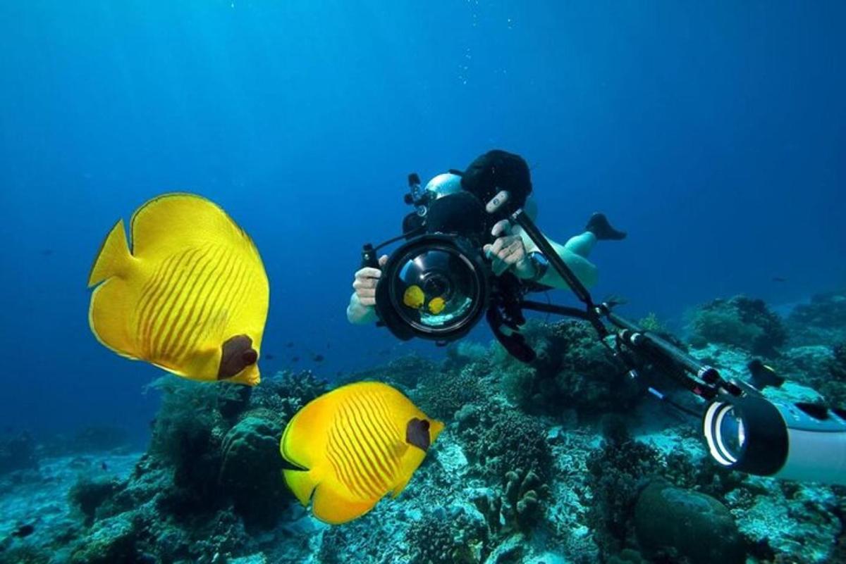 člověk v oceánu s fotoaparátem a několika rybami