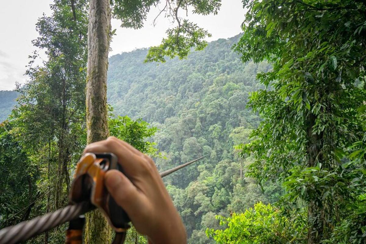 seseorang memegang gunting di hutan