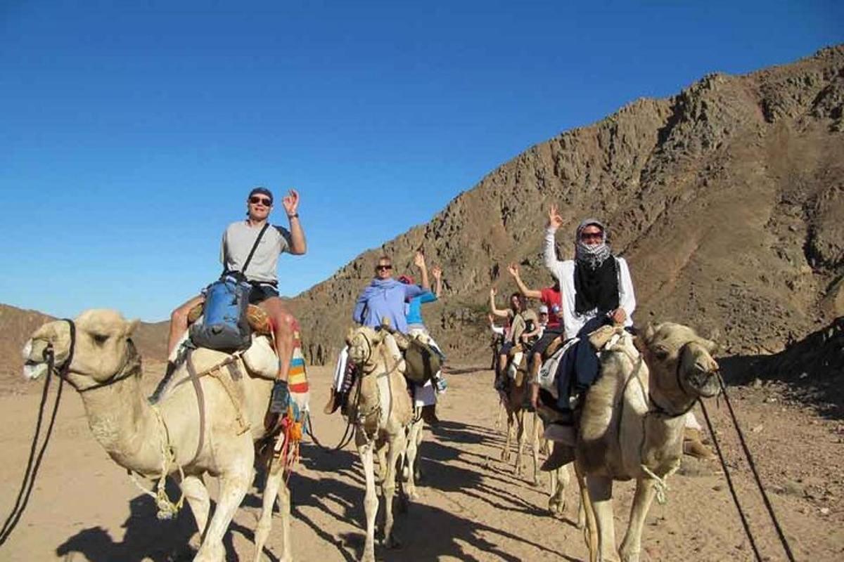 um grupo de pessoas andando de camelo no deserto