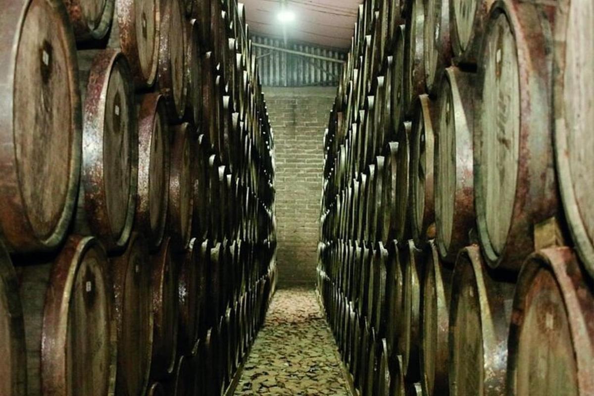 rząd drewnianych beczek na wino w piwnicy