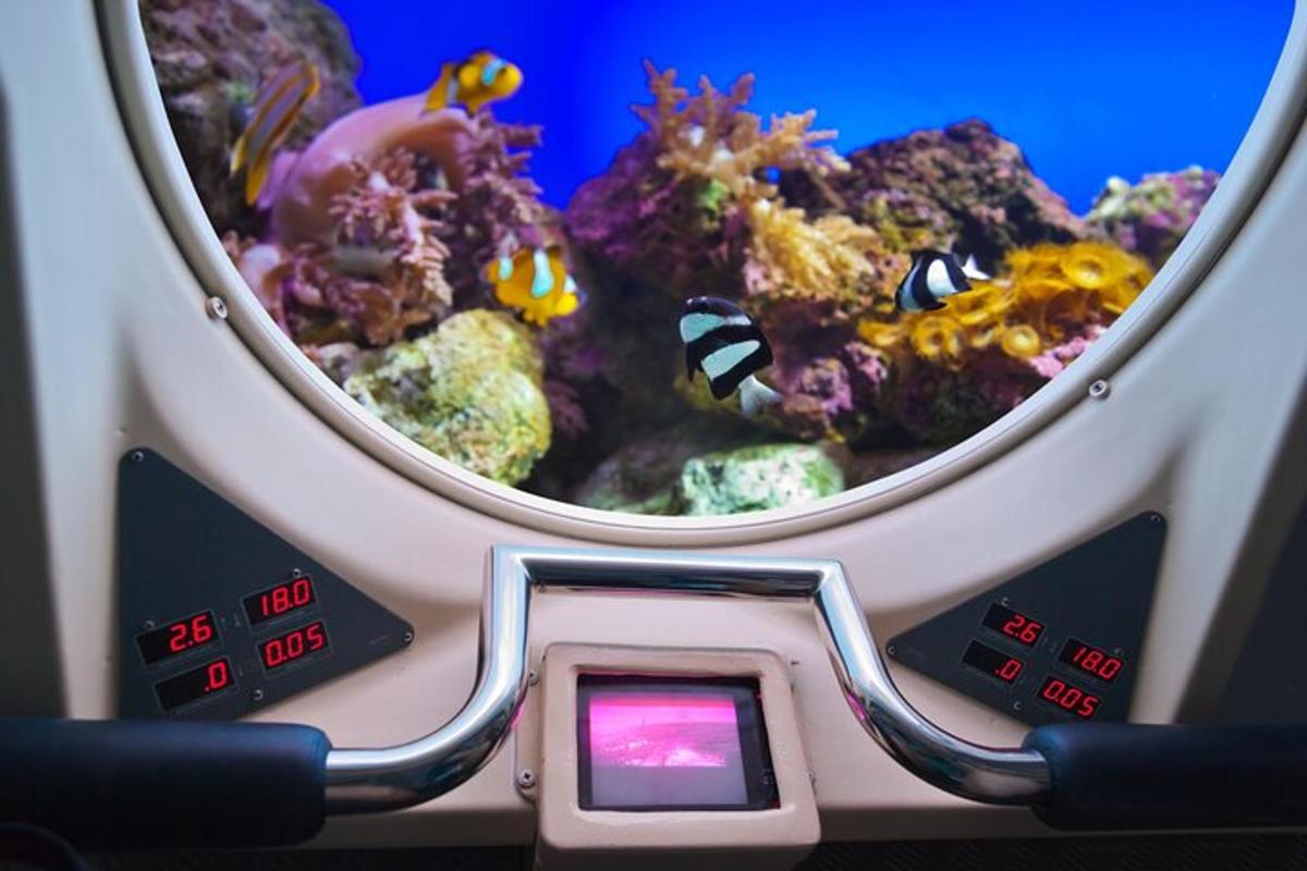 a close up of an aquarium with fish in it