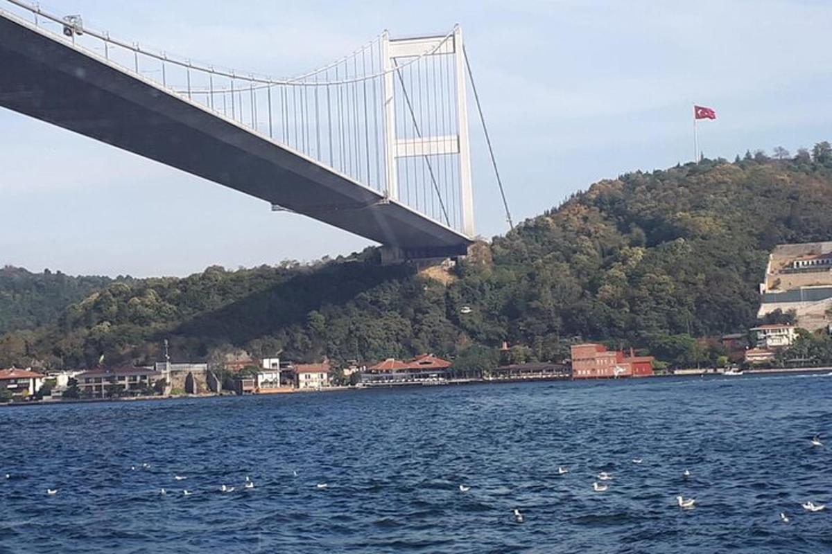 most čez vodno telo z zgradbami in drevesi