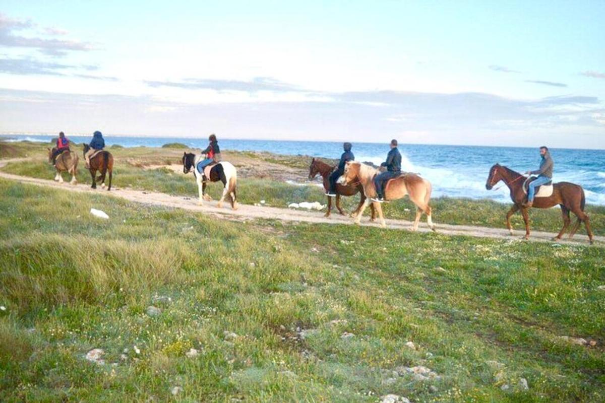 een groep mensen die op paarden rijden op een pad vlakbij de oceaan