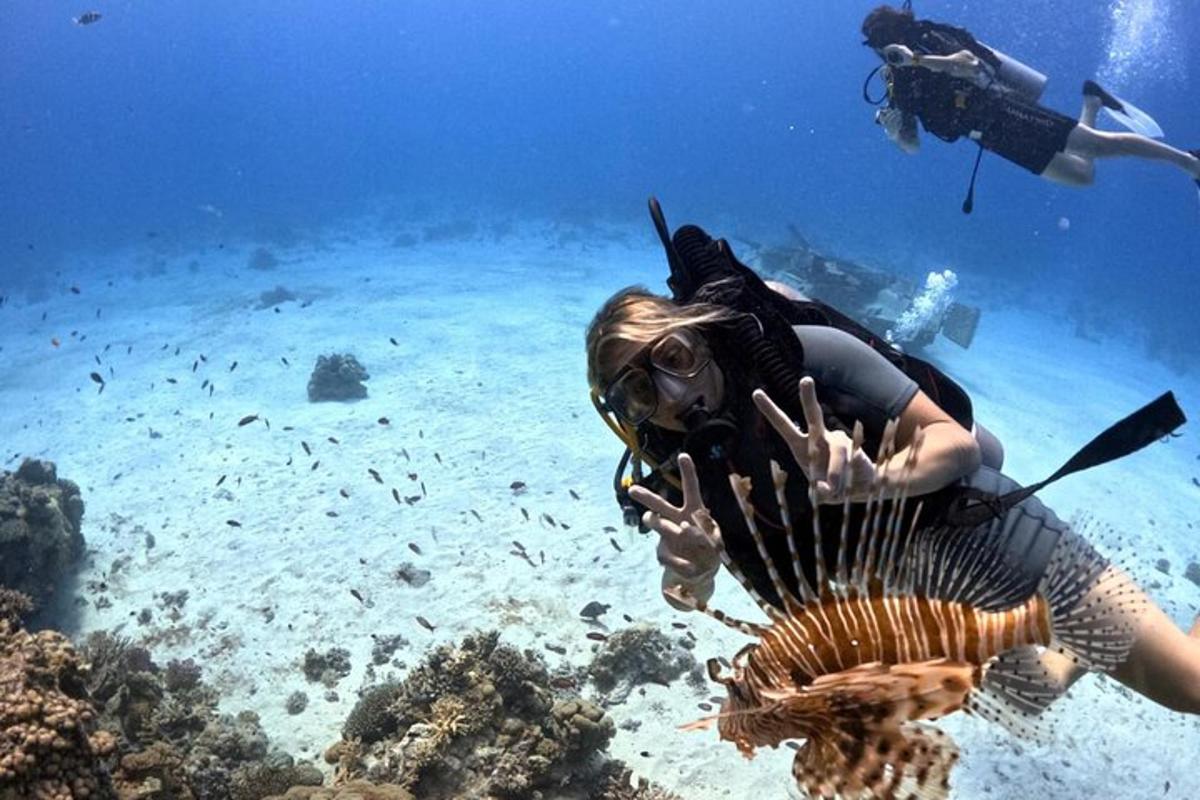 žena v oceánu s perutýnem
