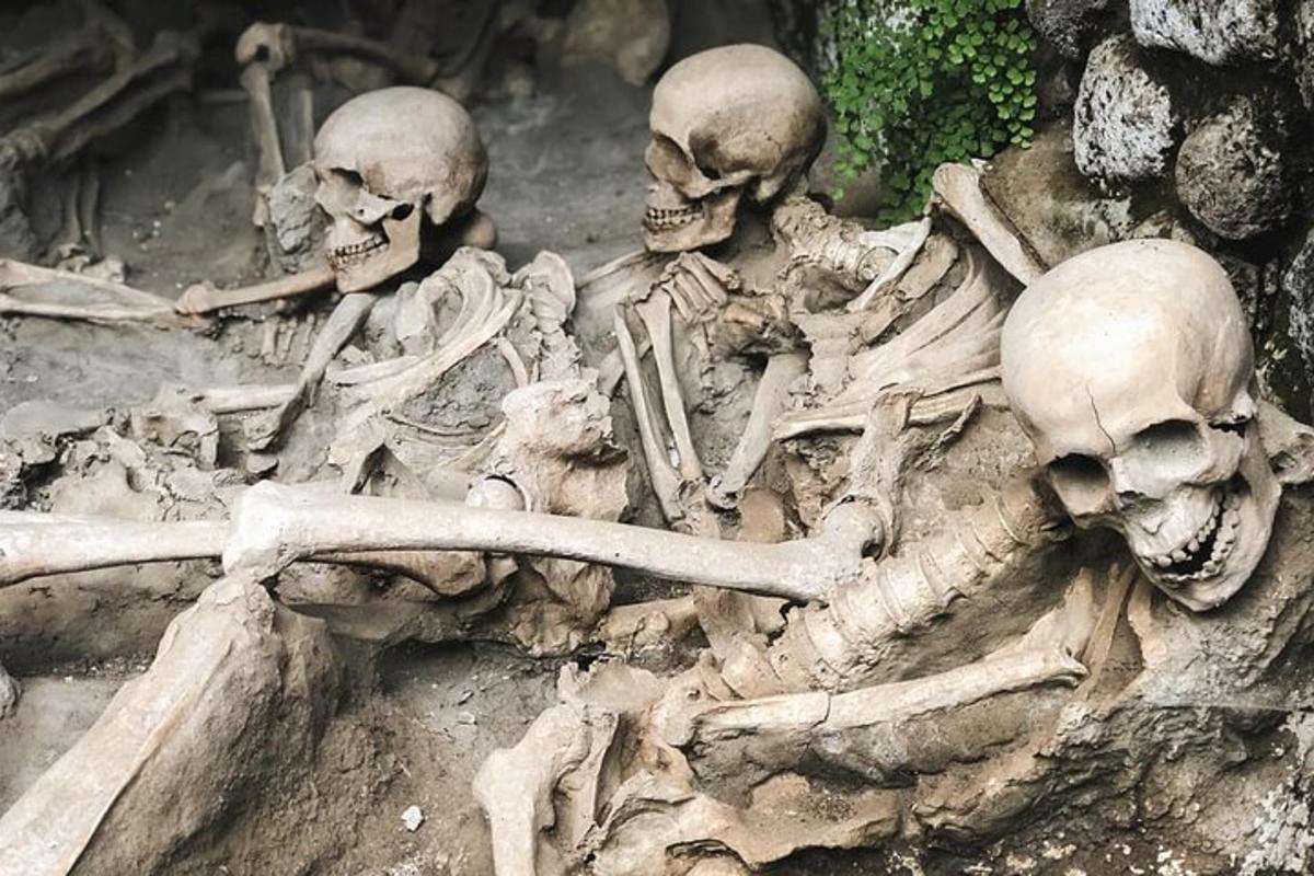 un mucchio di scheletri che giacciono nella polvere