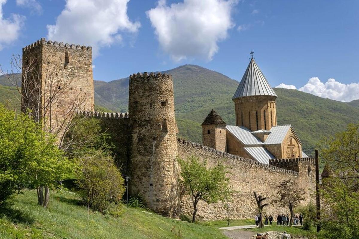 velik grad z dvema stolpoma na hribu