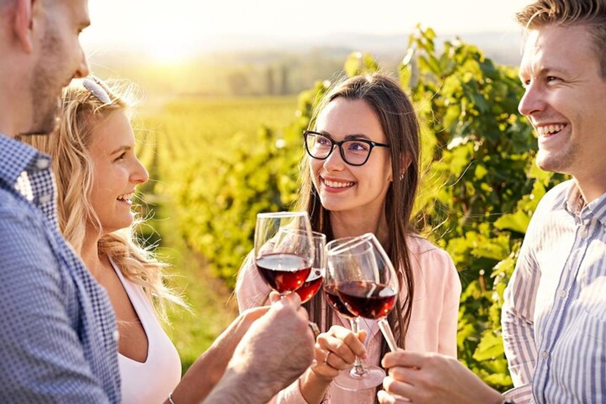 a group of people drinking wine in a vineyard