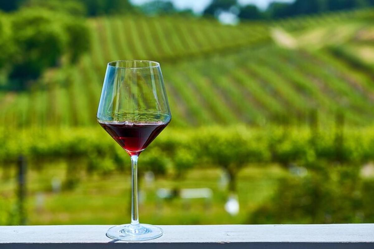 a glass of wine sitting on a table in front of a vineyard