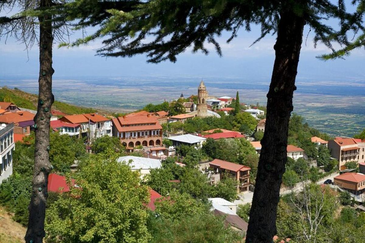 μια πόλη σε έναν λόφο με δέντρα και κτίρια