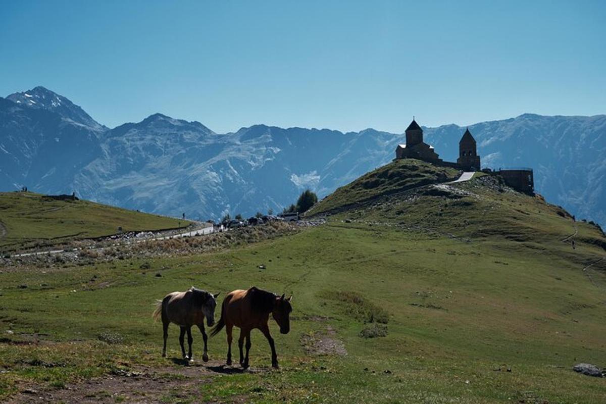 du arkliai, stovintys ant žolėtos kalvos su pilimi