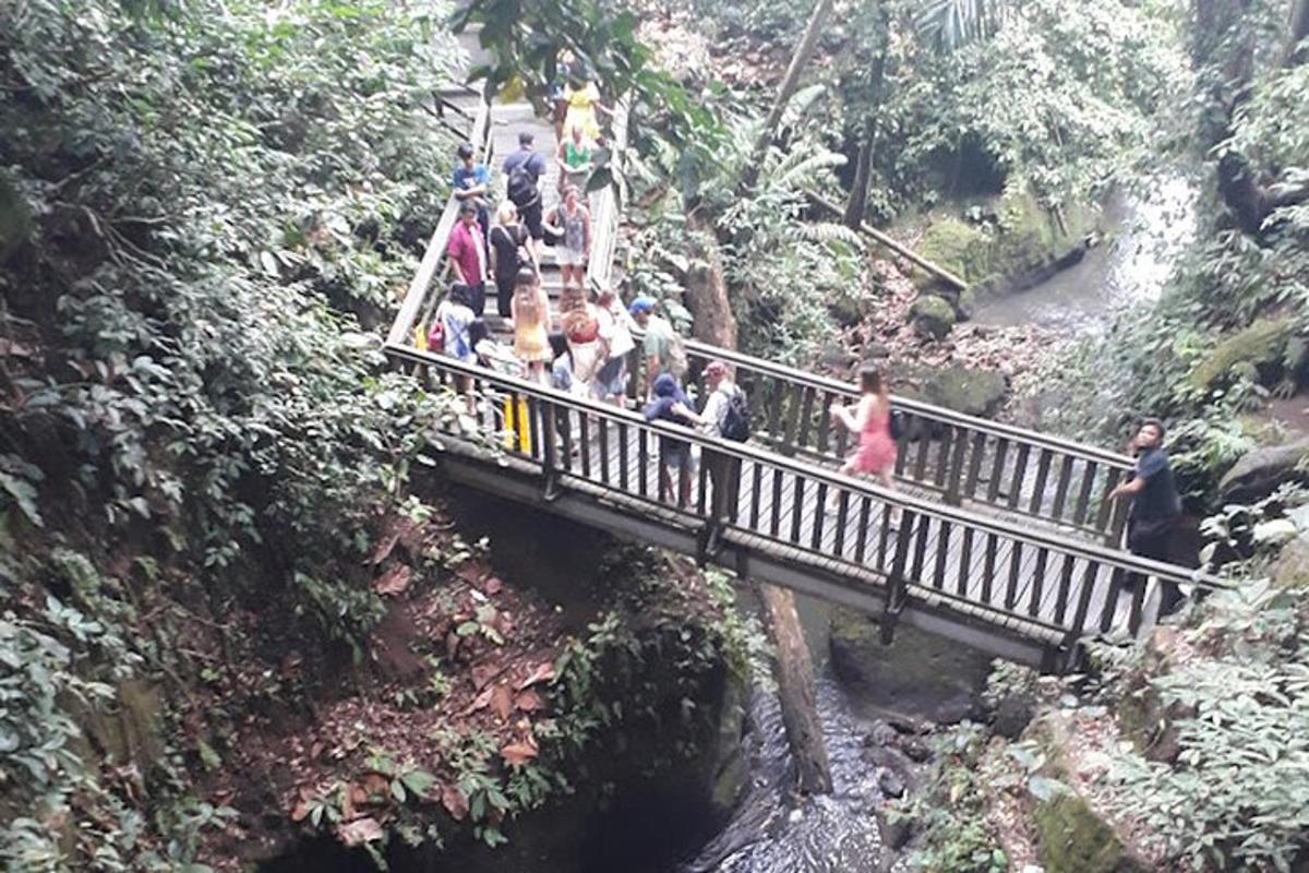a group of people crossing a bridge over a river