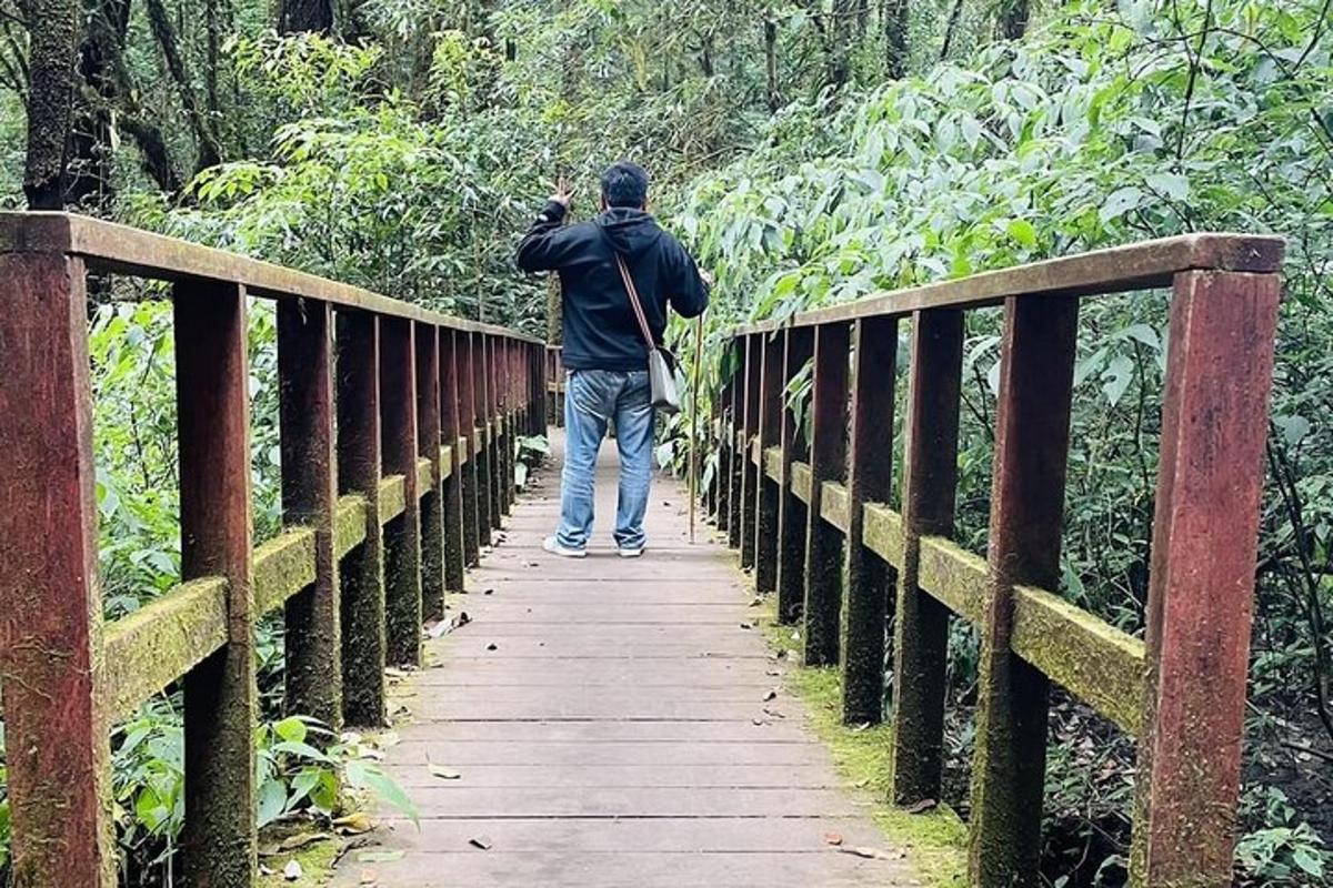 un homme marchant sur un pont dans la forêt