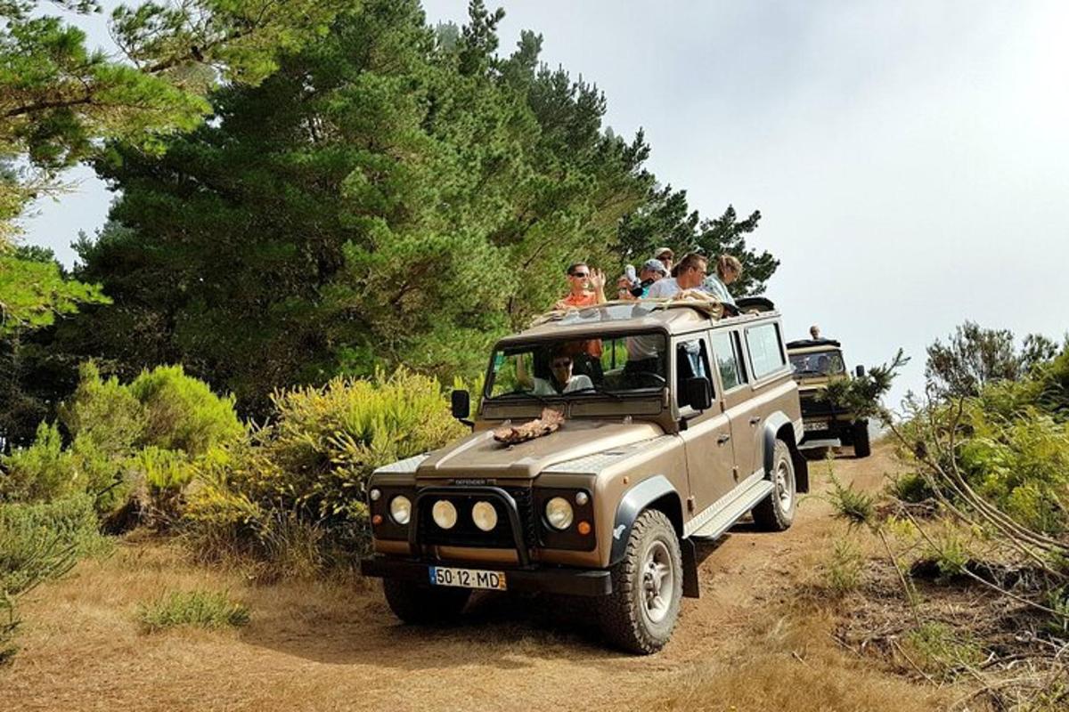 a group of people riding in the back of a truck on a dirt road