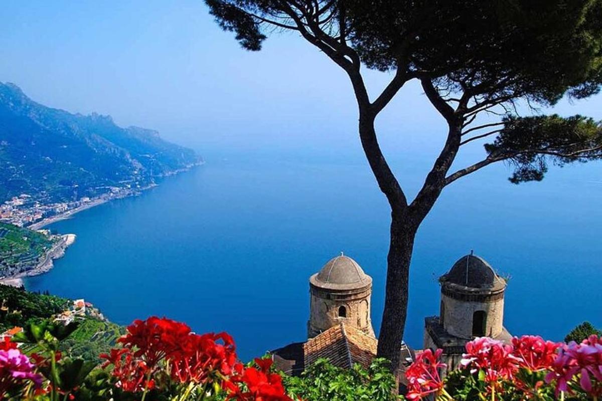 un albero in cima a una collina vicino a un lago