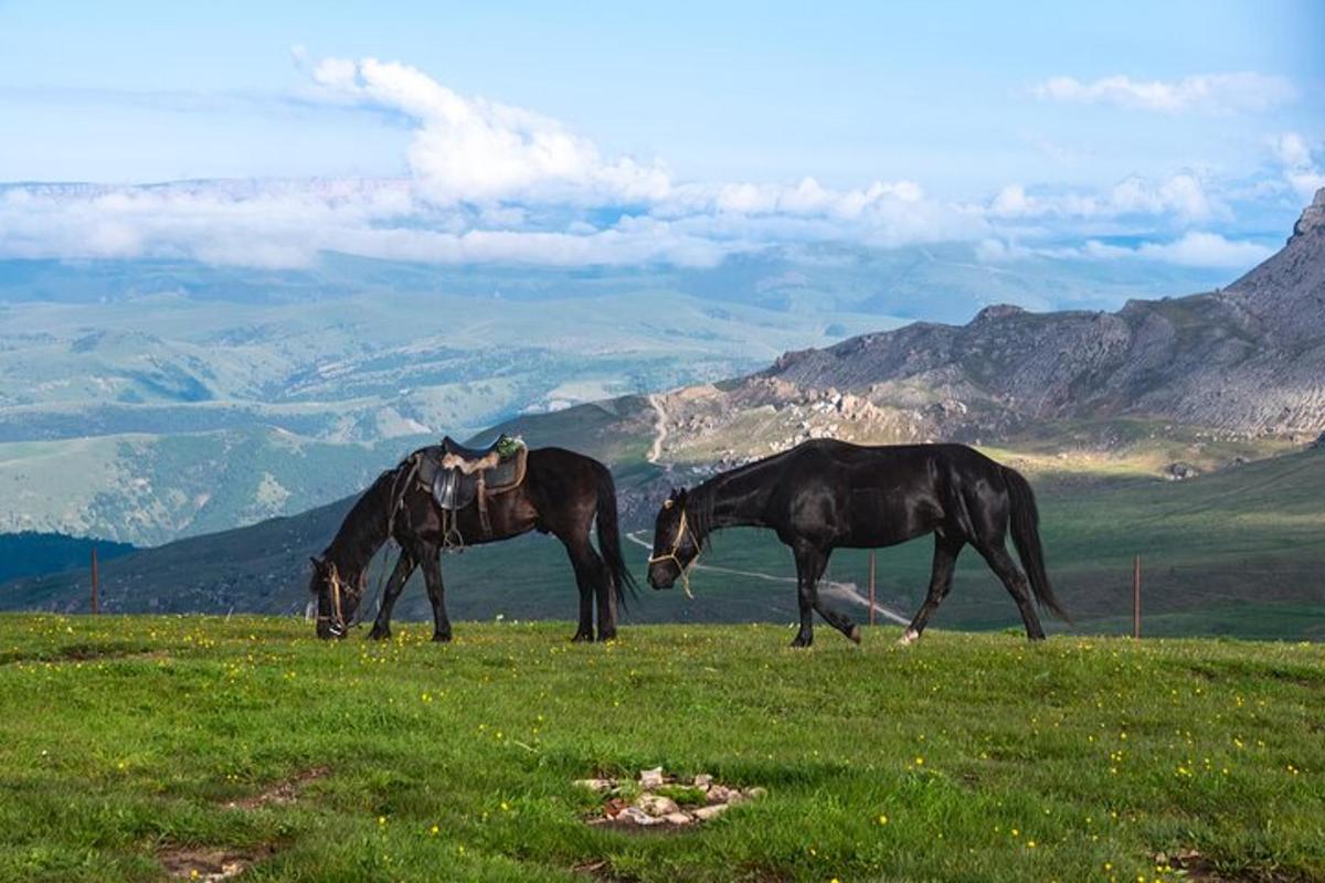 dva kone pasúce sa na trávnatom kopci s horami v pozadí