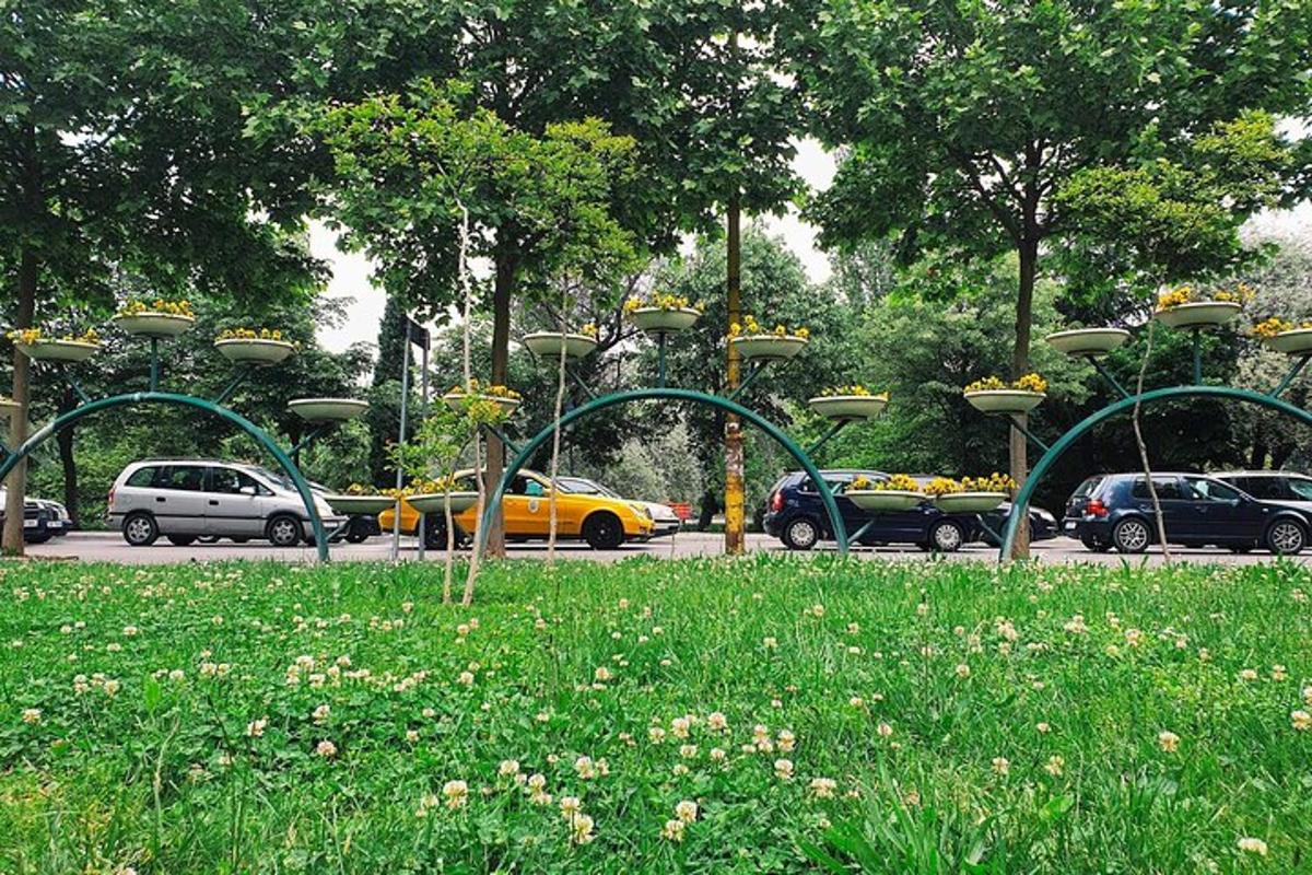 een park met een heleboel groene structuren