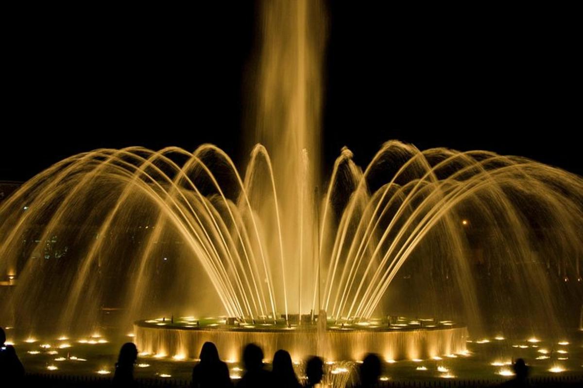 a group of water fountains are lit up at night