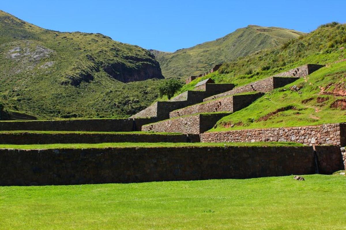 a set of stone steps on a hill with green grass