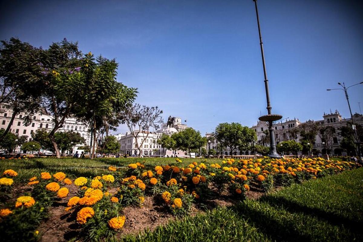 a field of flowers in a park with buildings