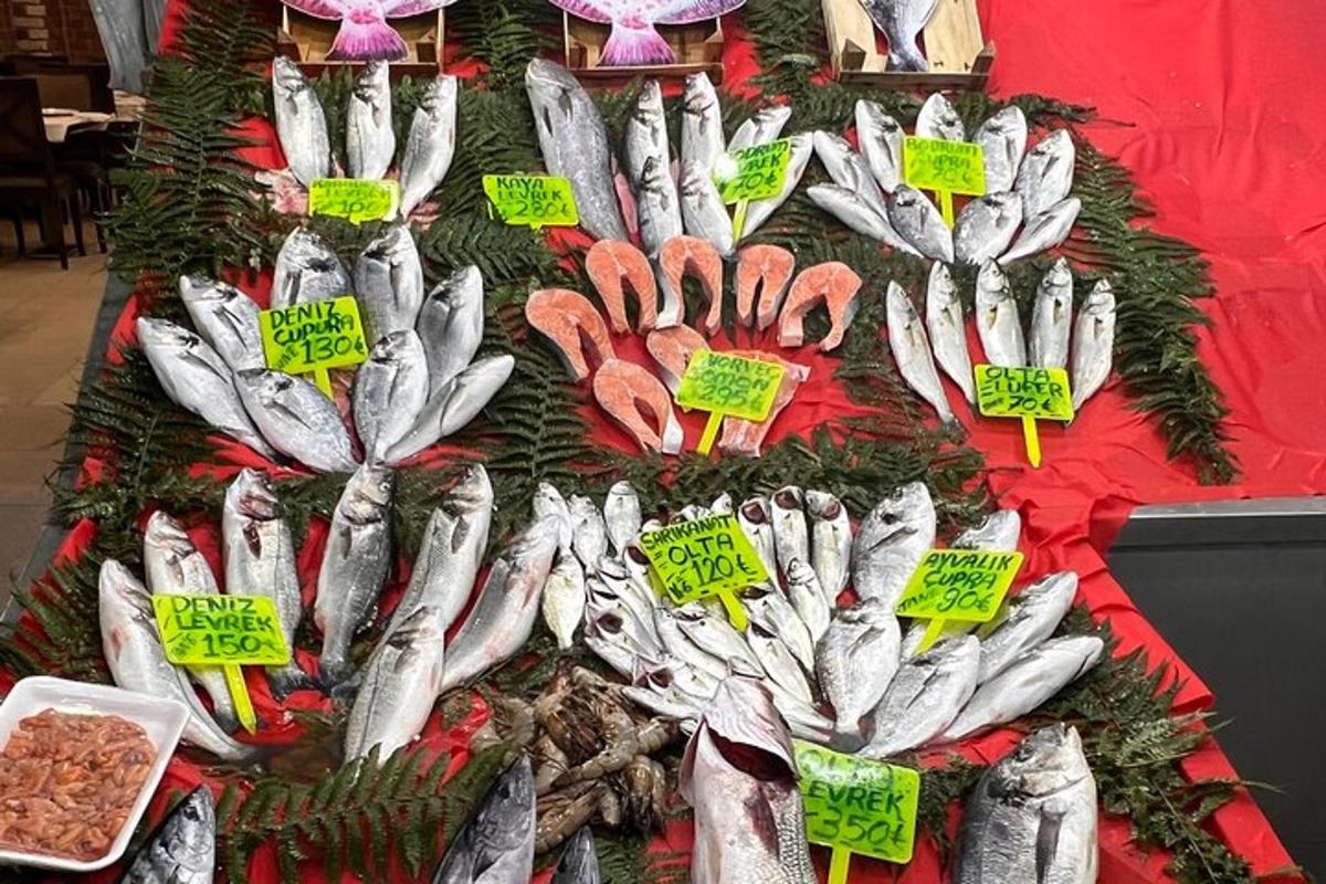 pameran ikan untuk dijual di pasar