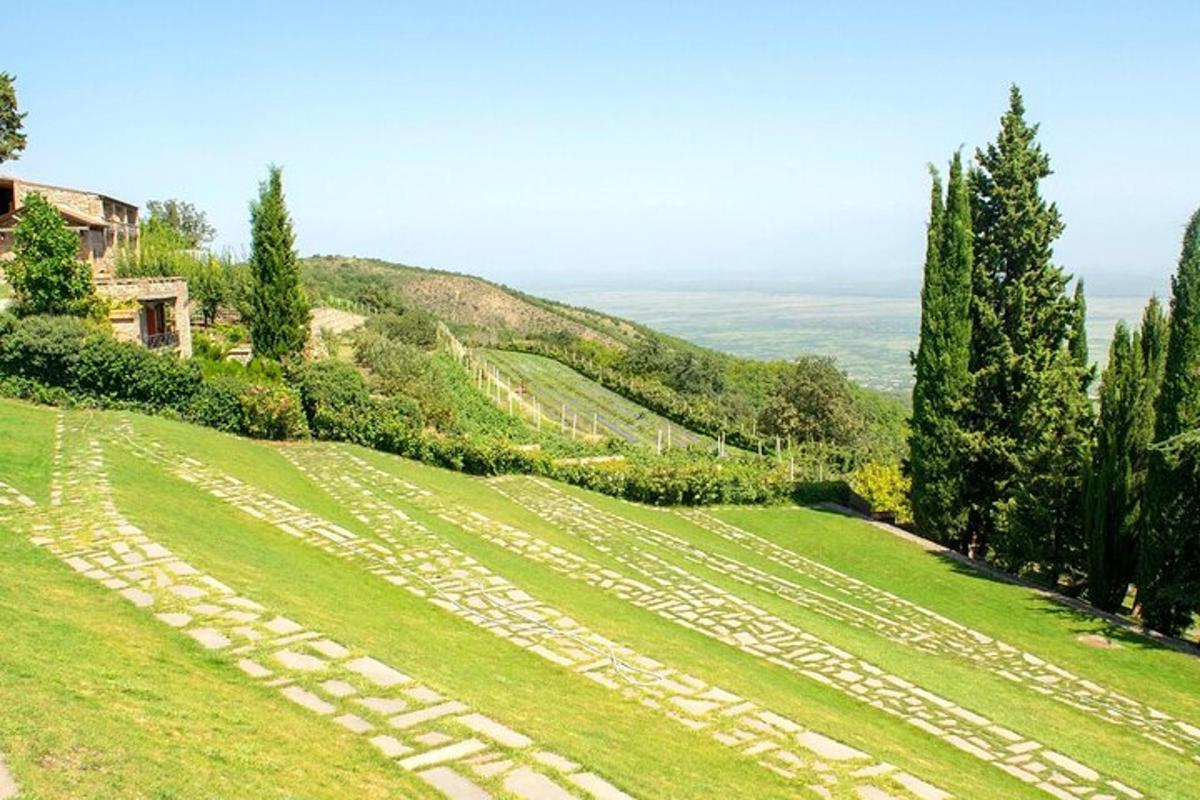 zeleno polje z drevesi in hrib s hišo
