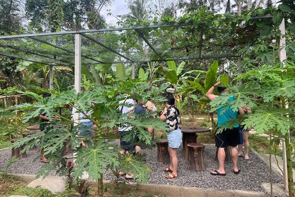 a group of people working in a garden