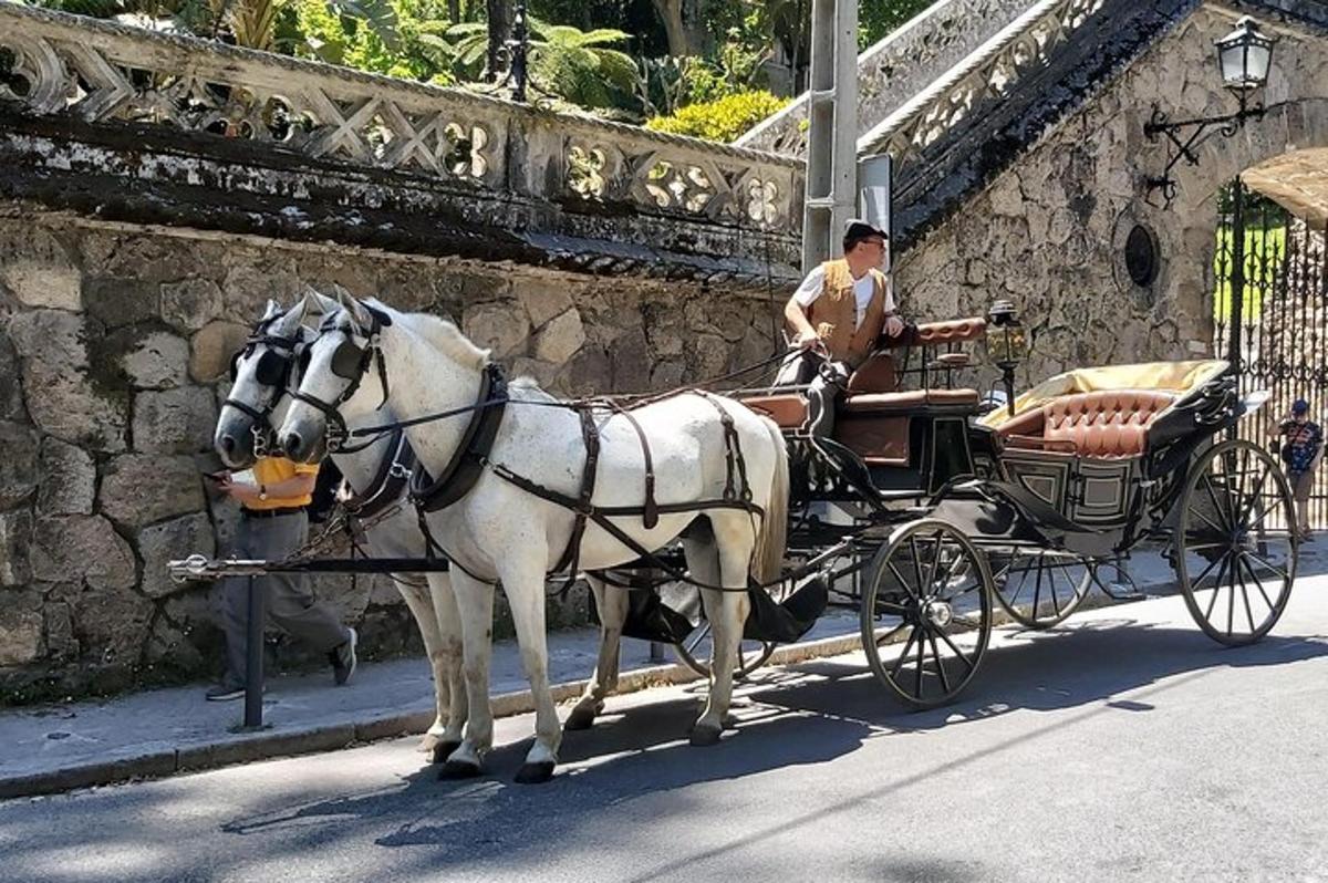 un uomo in una carrozza trainata da cavalli su una strada