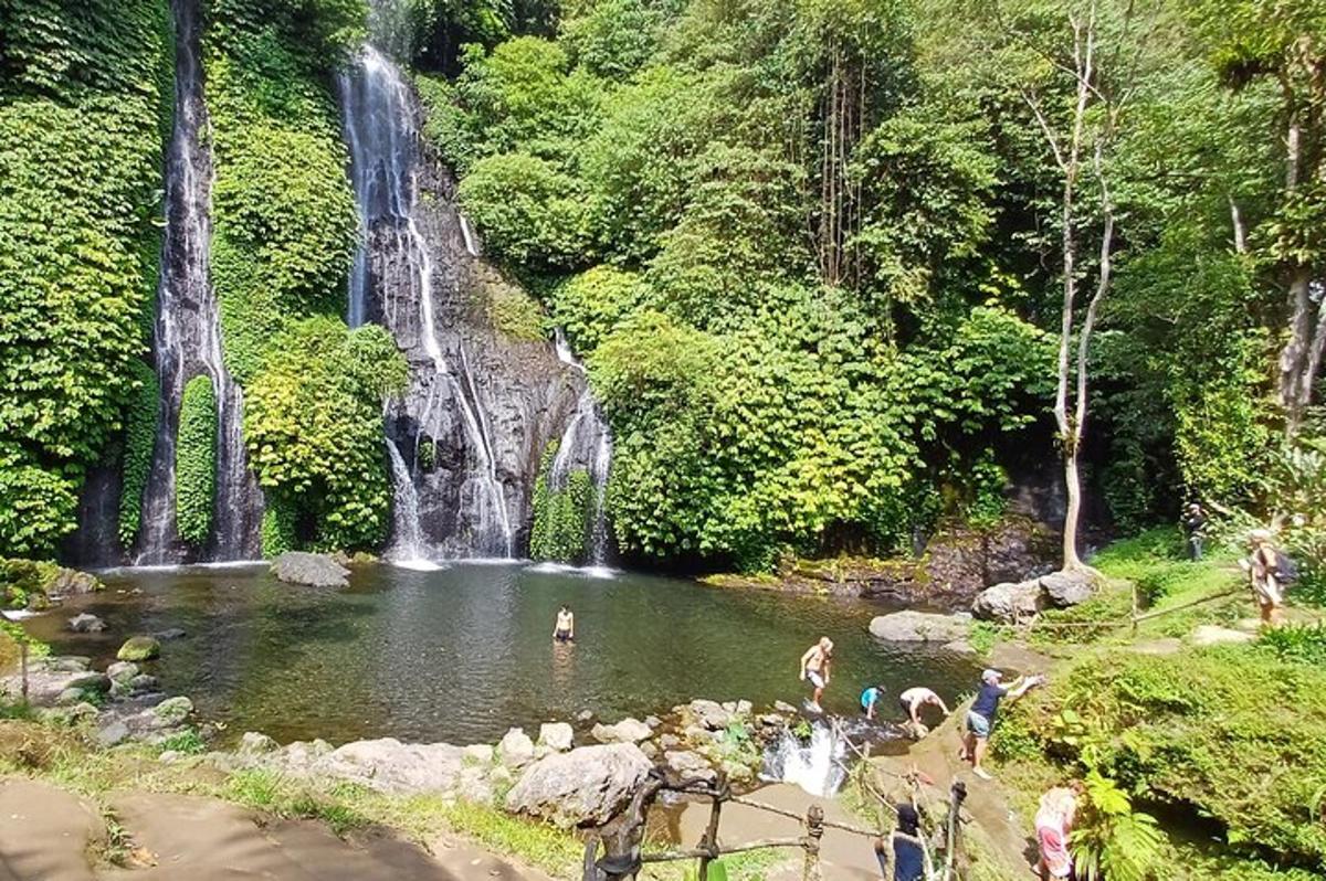 Un grupo de personas en un estanque frente a una cascada.