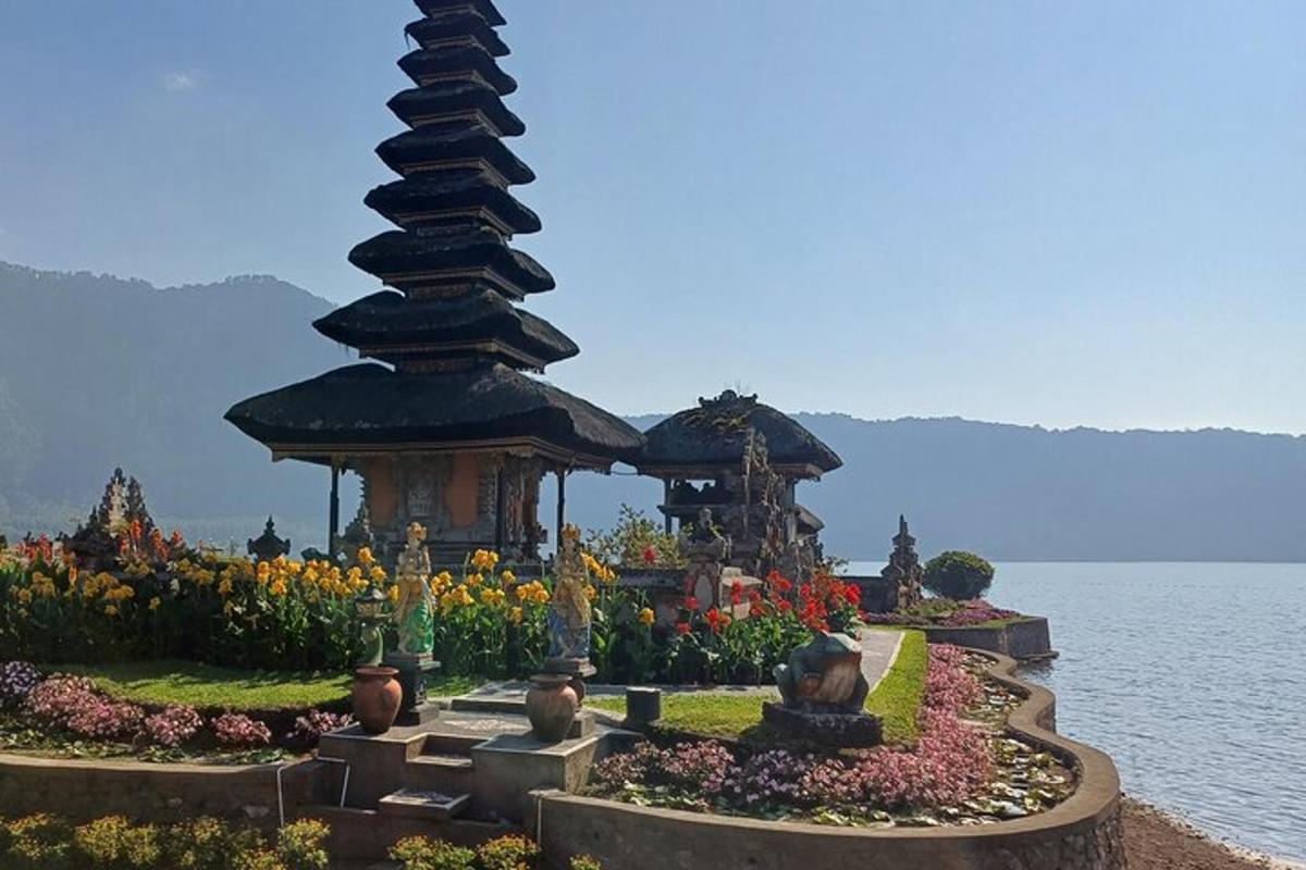 Un jardín con una pagoda en medio del agua.