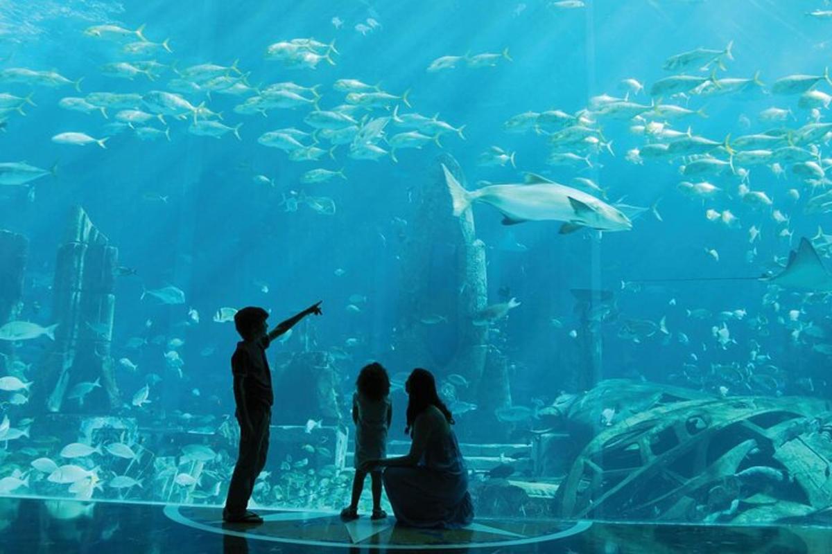 a group of people standing in front of an aquarium