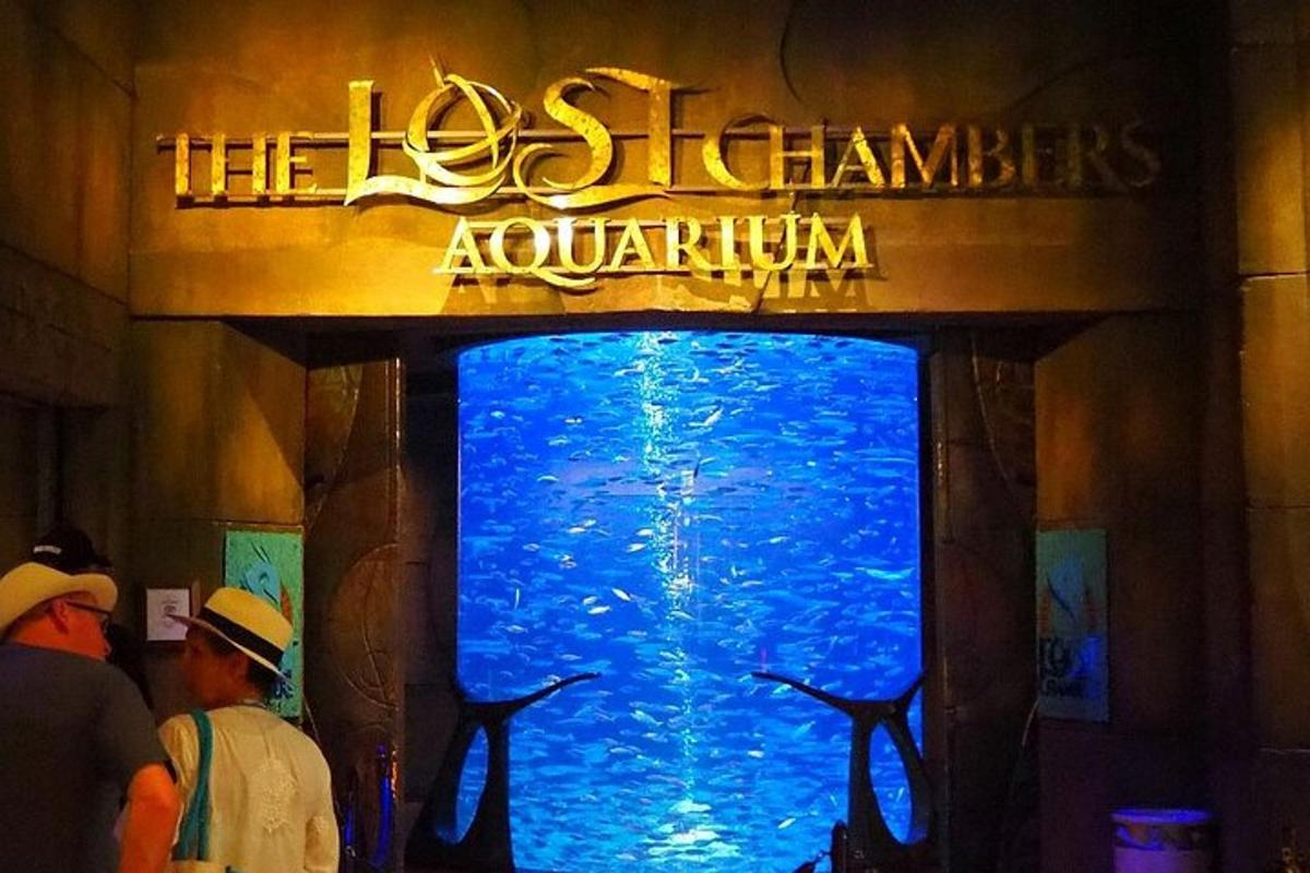 people standing in front of a large aquarium