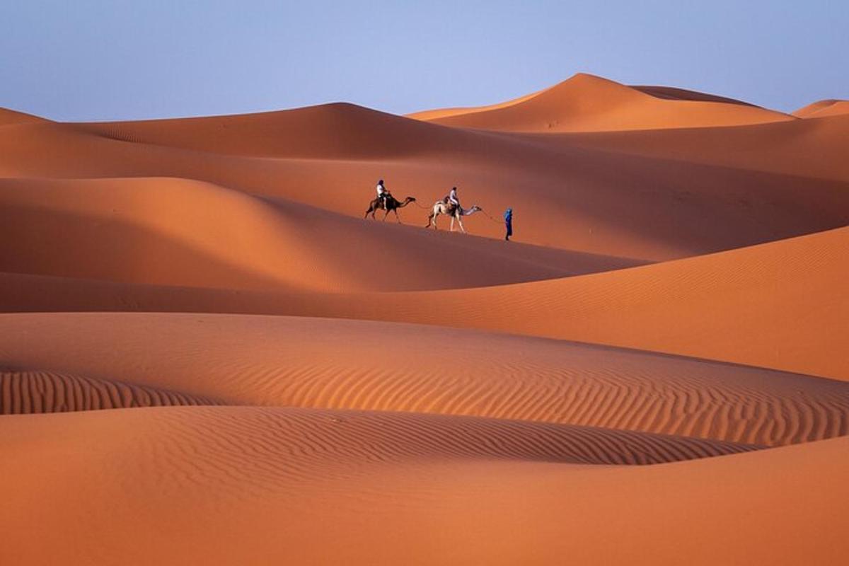 un gruppo di persone a cavallo di cammelli nel deserto