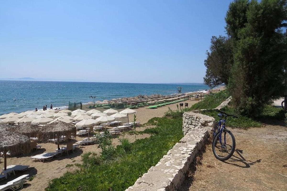 rower zaparkowany obok muru na plaży