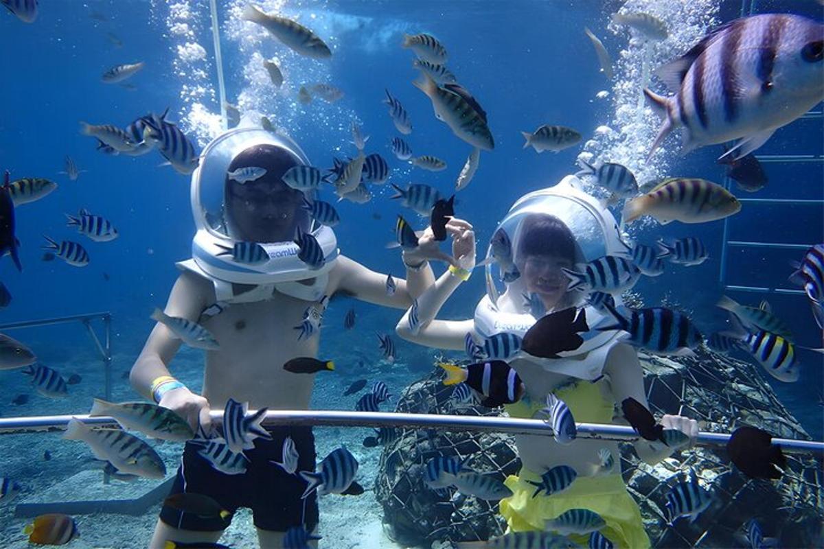 two children playing with fish in an aquarium