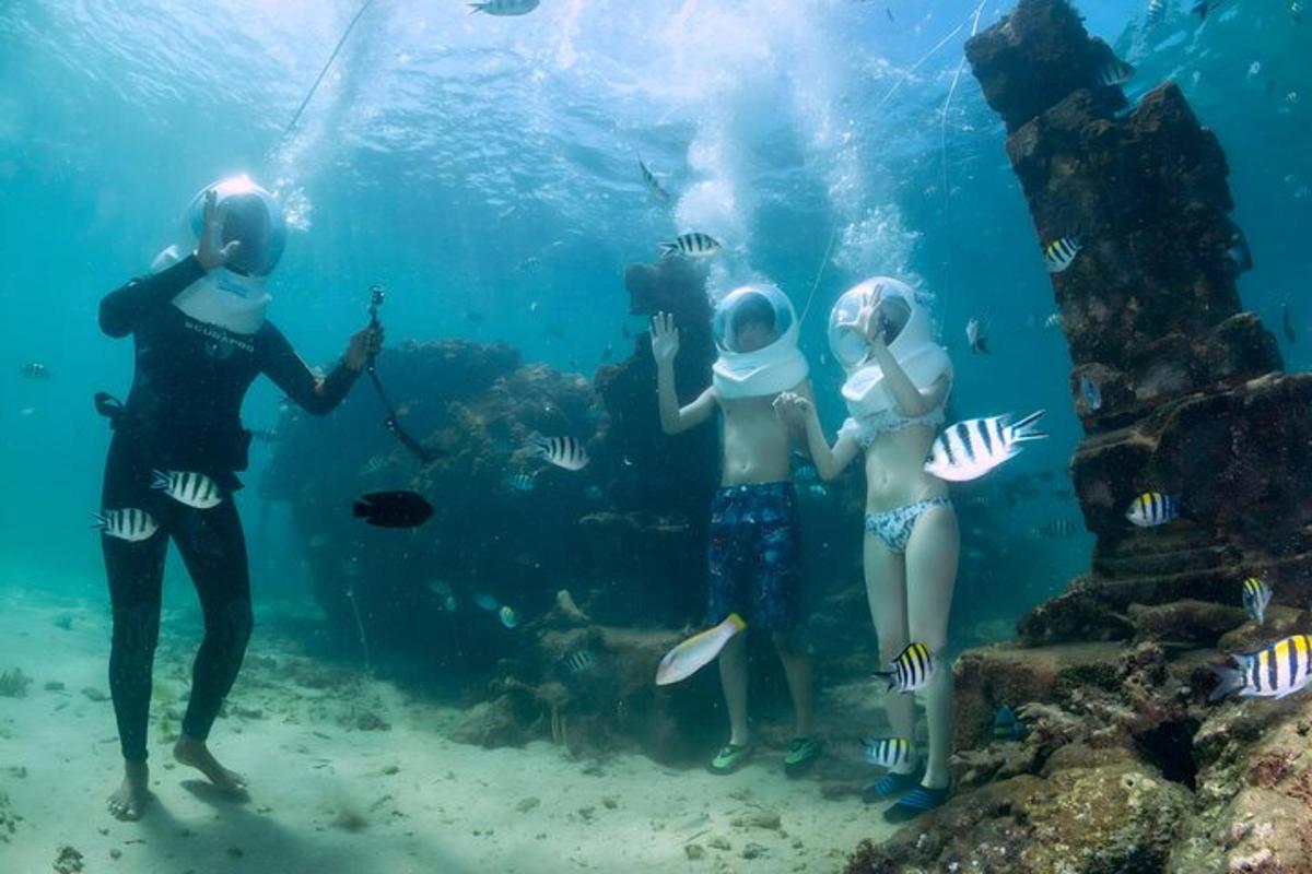 un gruppo di persone che osservano i pesci in un acquario