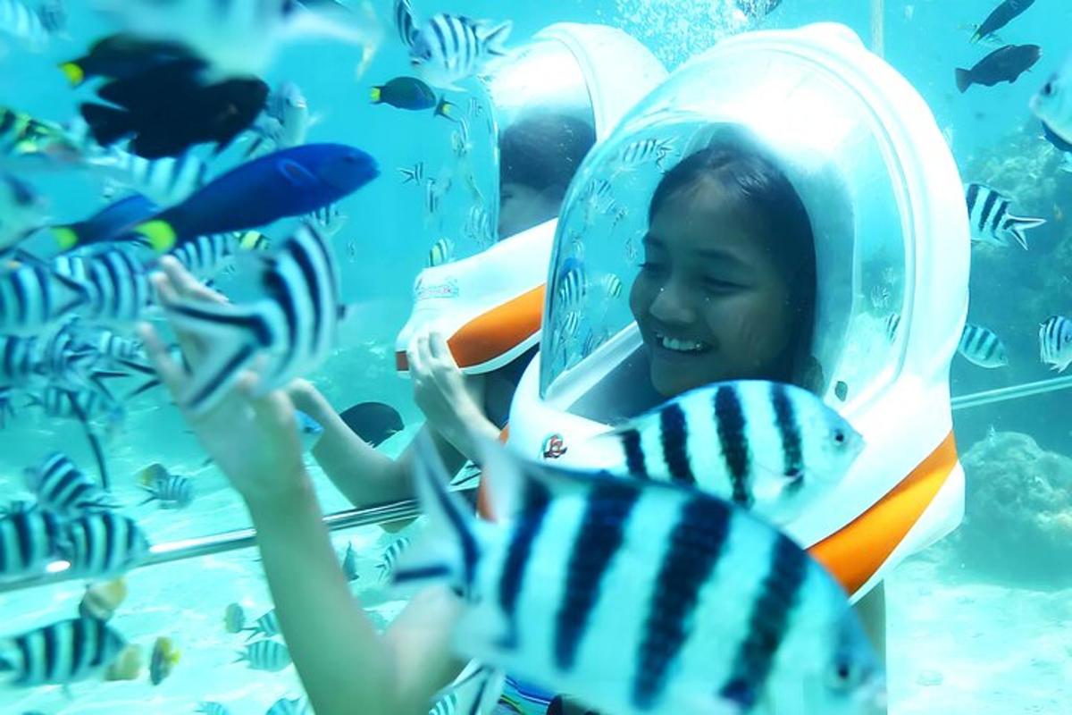 una ragazza in un acquario che guarda i pesci
