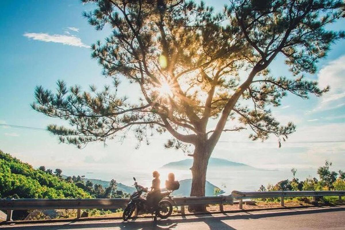 una persona in sella a una motocicletta accanto a un albero