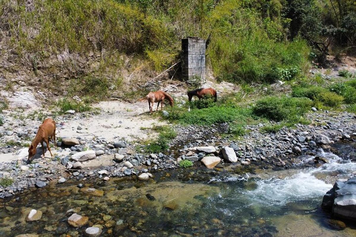 Foto 3 da atração