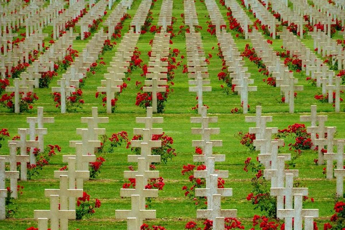 een begraafplaats met graven en rode bloemen in het gras