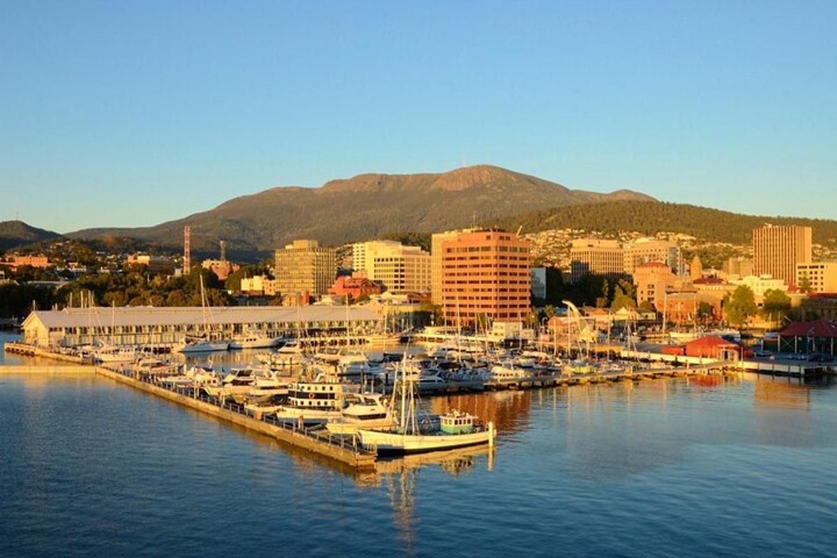 a group of boats docked at a marina in a city