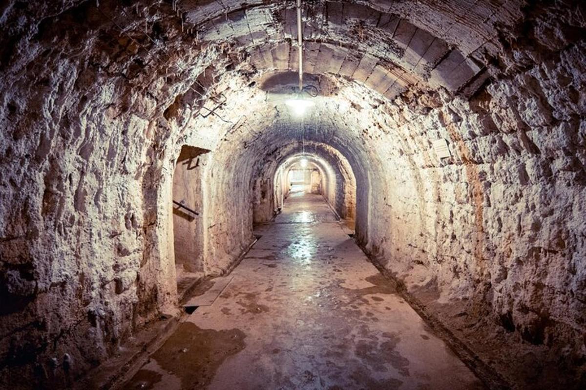 un vecchio tunnel di mattoni con una luce alla fine
