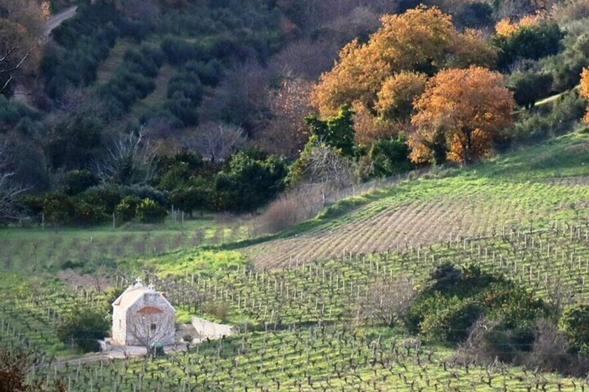 um prédio antigo no meio de um campo