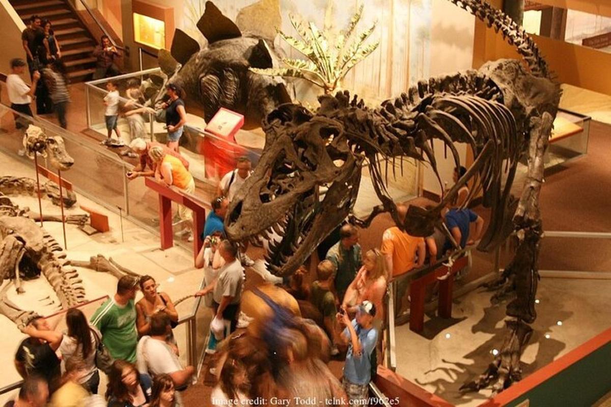 dav lidí stojících kolem dinosaura v muzeu