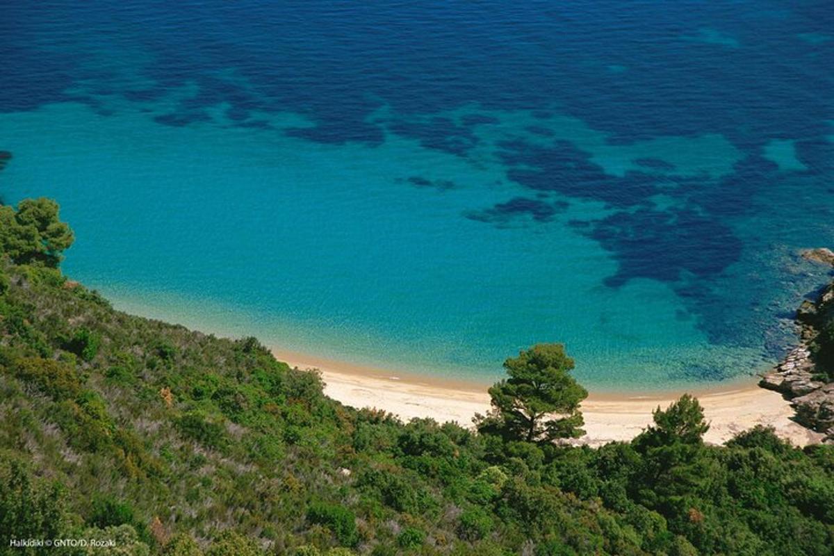 pogled na plažo ob oceanu
