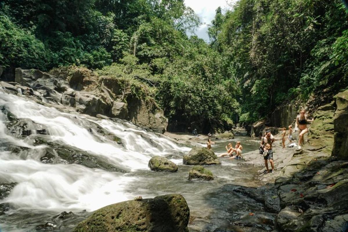 un grup de oameni care înoată într-un râu