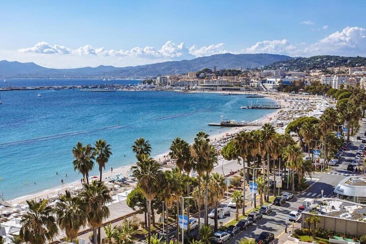 una vista di una spiaggia con palme e l'oceano