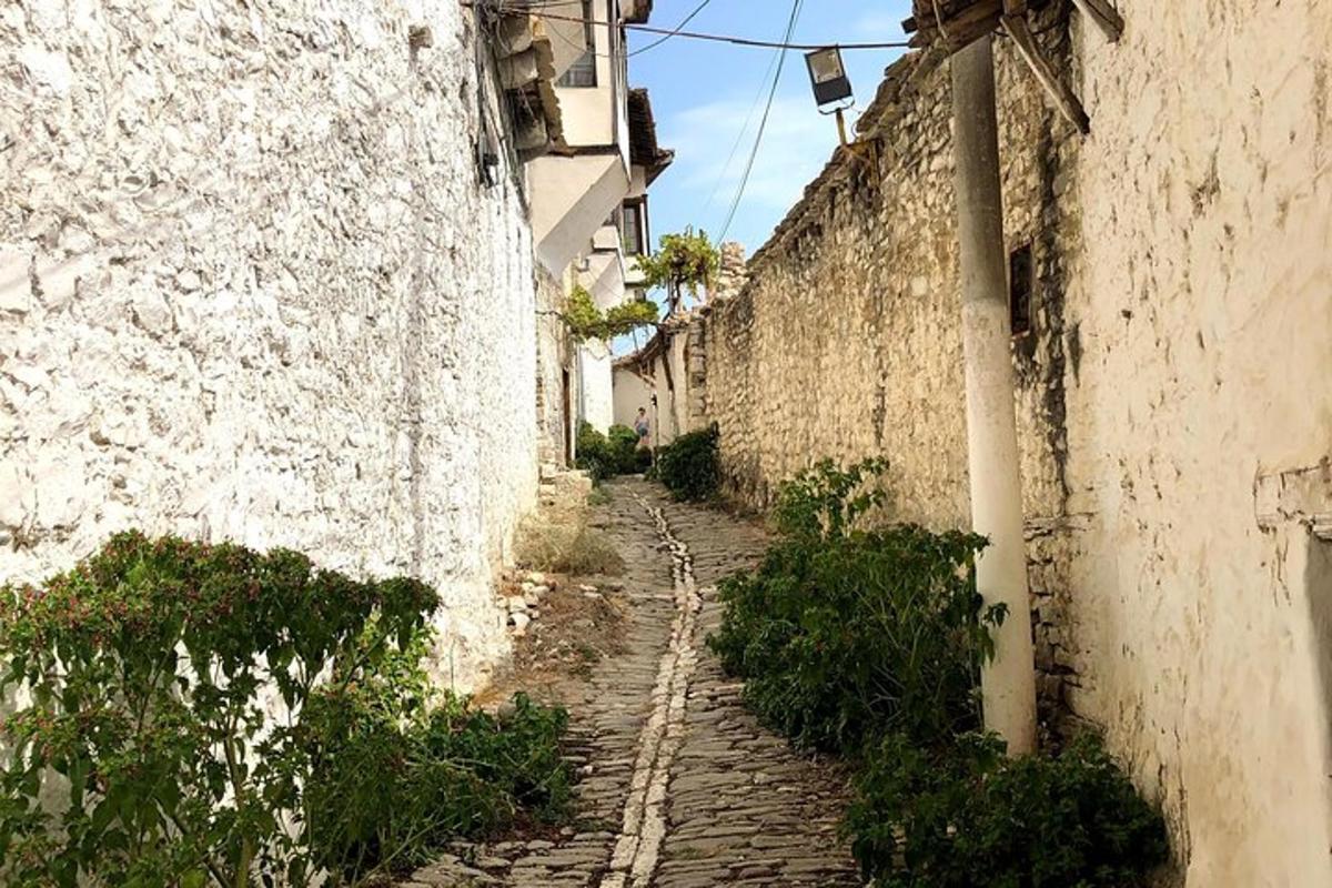 Lankytinos vietos ar pramogos nuotrauka numeris 4