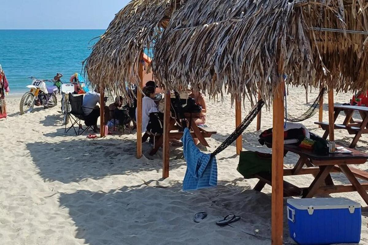 a hammock and a straw umbrella on a beach