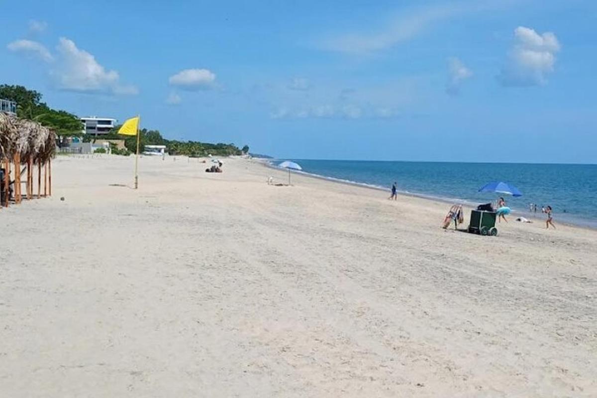a sandy beach with people sitting under umbrellas and the ocean