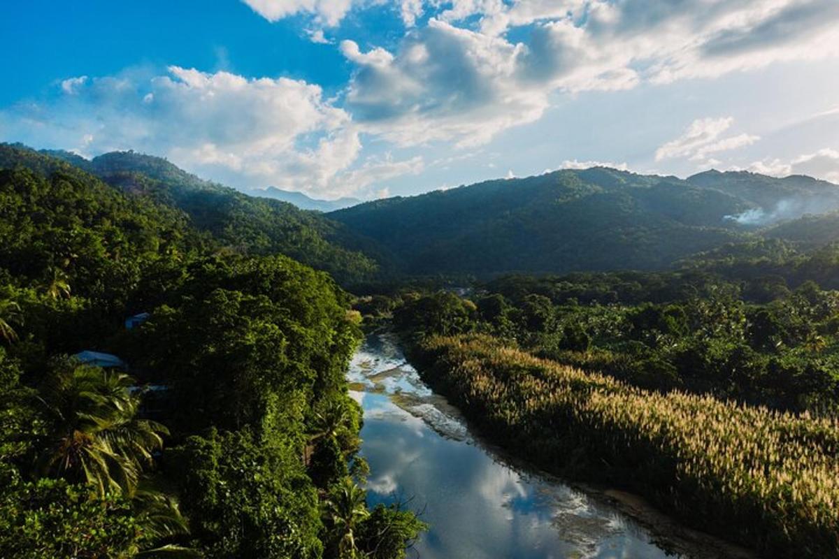 pemandangan dari udara sungai di lembah